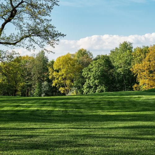 Piscine, parchi, aree verdi per eventi o attività outdoor